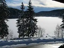Windgfällweiher im Winter