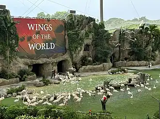 Wings of the World Show