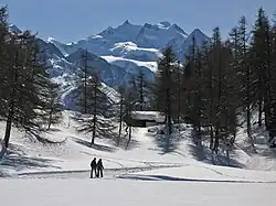 Winterwandern in der Moosalp, im Hintergrund Mischabelgruppe