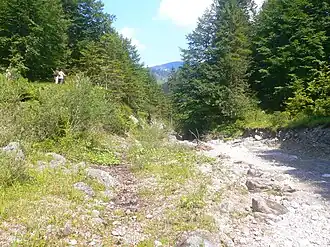 Felsweißach in der Wolfsschlucht