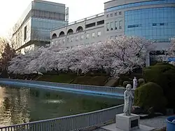 Die Universitätsbibliothek (links) und das Jura-Gebäude (rechts)