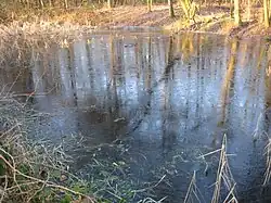 Der See in der Breite