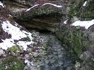 Wulfbachquelle bei Mühlheim an der Donau