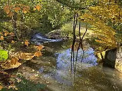 Wupper bei Neuensturmberg