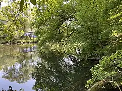 Gestaute Wupper im Nordteil des NSG