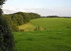 Weiden südöstl. Trotzhaus