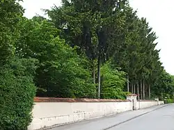 Feldmochinger Friedhof