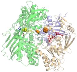 Xanthindehydrogenase