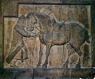 Relief eines Kriegspferds am Zhaoling-Mausoleum (frühes 7.&nbsp;Jahrhundert)