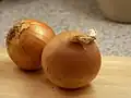 Makói Zwiebel (Hungarikum)[11]