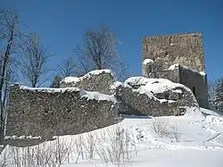 Burg Vítkův hrádek (Wittinghausen)
