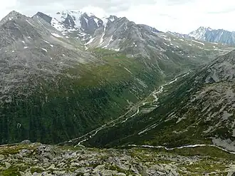 Zamser Grund mit Hochferner