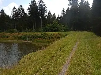 Zankwieser Teich, Damm mit Knick