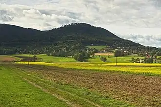 Żar vom Górki Małe