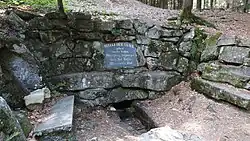 Saalequelle bei Zell im Fichtelgebirge