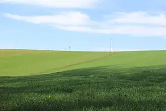 Gipfelbereich des Ziegelberges bei Geiselbach von Osten gesehen