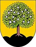 Wappen von Nasavrky