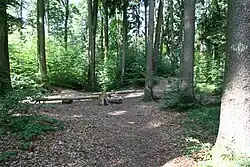 Keltengräber auf dem Feufbühl