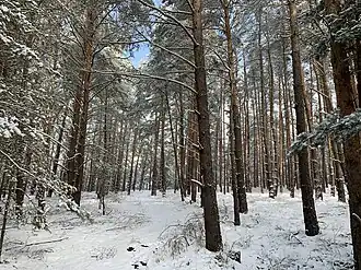 Guhringsberg, Blick nach Norden