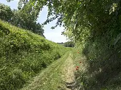 Hohlwege in Bruchsal, Kreuzhohle