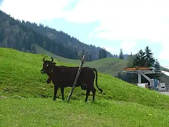 Auf dem Weg zur Oberen Kalle mit Blick auf den Eckhaldekopf (hinten)