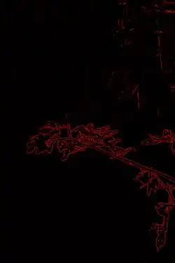 Tonwerterhöhung und Rotfärbung der gefilterten Kanten im Bild