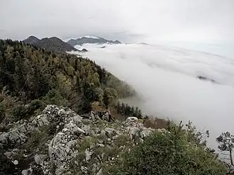 Zwieselschrofen Hauptgipfel