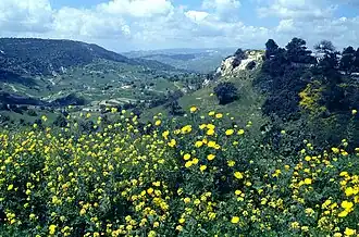 Landschaft bei Pano Archimandrita