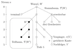Baumdiagramm