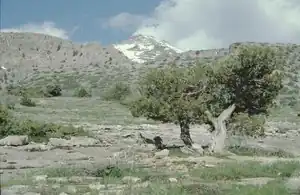 Blick vom Hochplateau auf den Gipfel des Ayrybaba