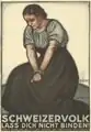 Abstimmungsplakat von Hans Beat Wieland